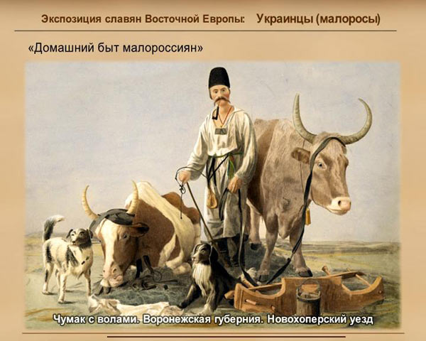 ���������� ��� �� ������� ��������������� �������� 1867�